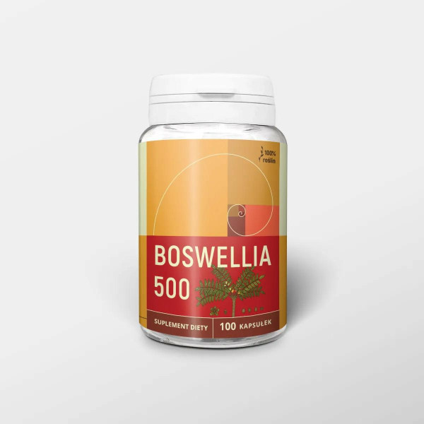 Boswellia 100 kapsułek x 500 mg Nanga