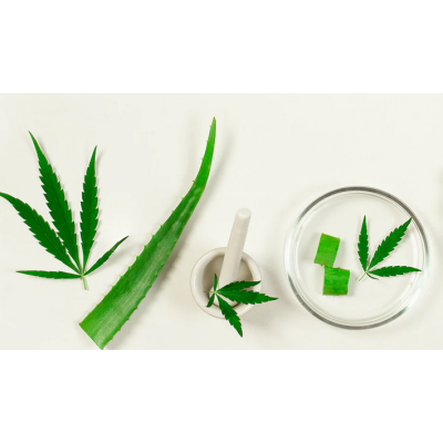 Krem żel Aloesowy CBD+aloes 100 ml
