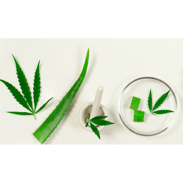 Krem żel Aloesowy CBD+aloes 100 ml