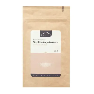Soplówka jeżowata bio Lions mane mielona  50g Nanga