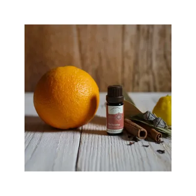 Ochrona olejek mieszanka olejków eterycznych 10ml Nanga Ochrona olejek mieszanka olejków eterycznych 10ml Nanga