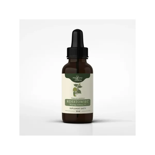 Rdestowiec wyciąg ziołowy 50ml Nanga