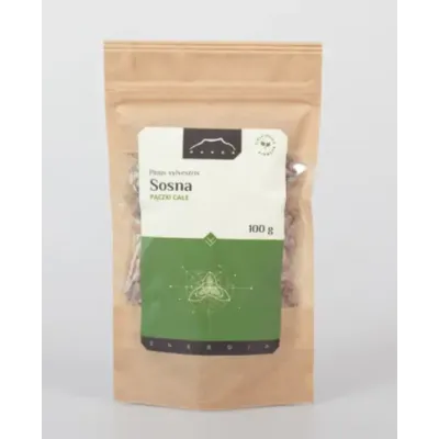 Sosna pączki całe 100g Nanga